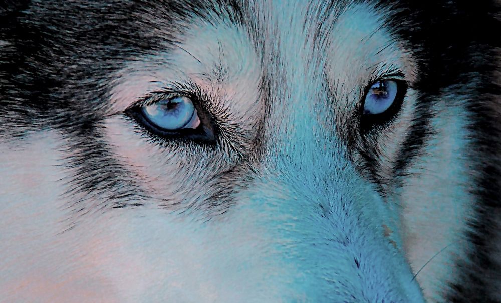 Photograph by AlexSa