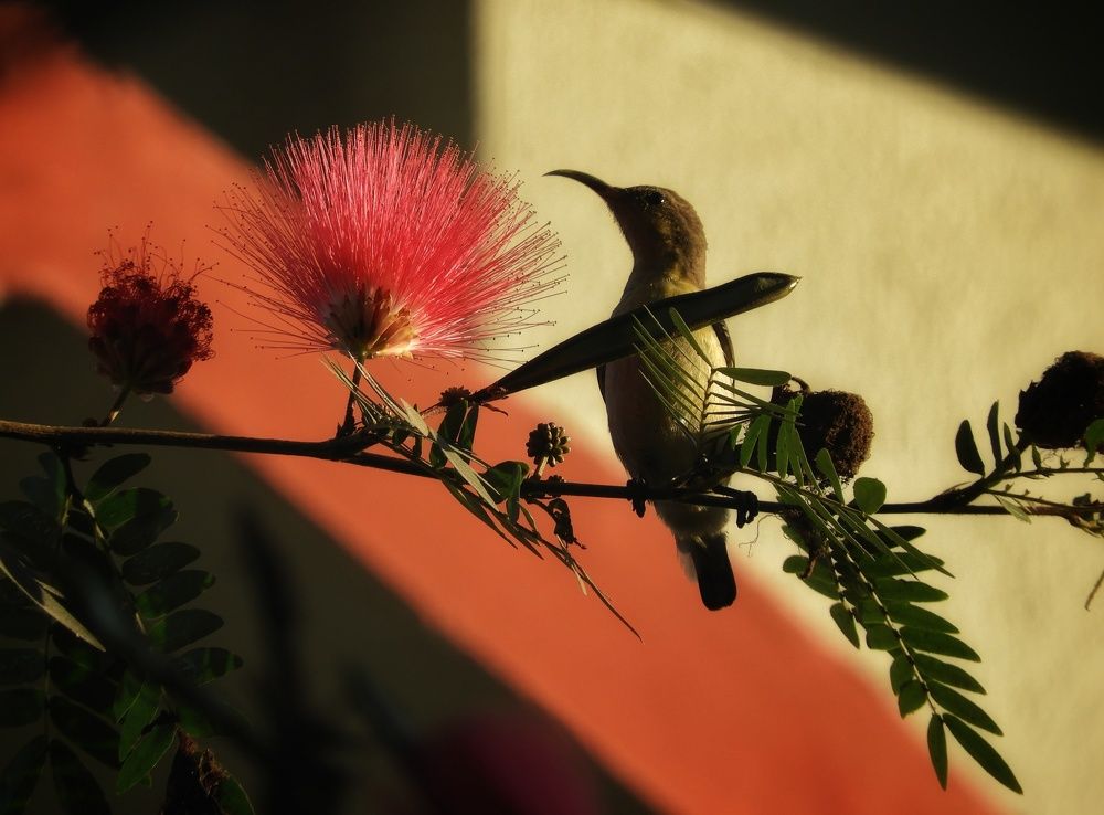 Photo #5939287