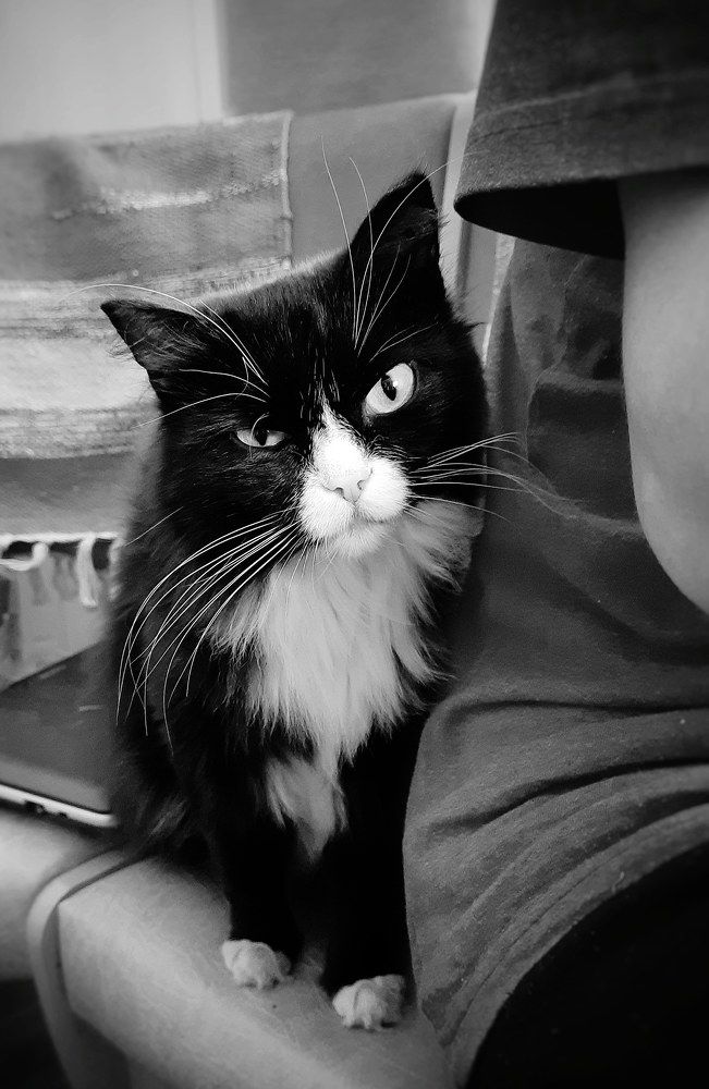 Photograph by Елена Леоненко