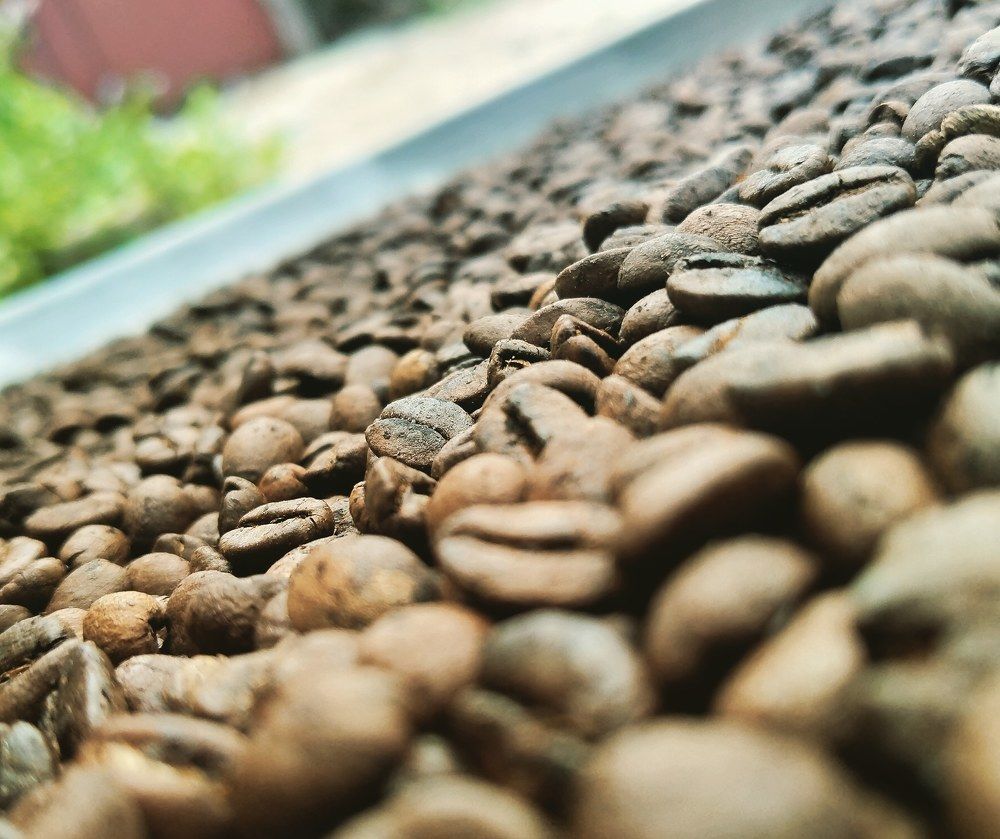 Photograph by Mohammed Eissa Ahmed Al Mashraqi