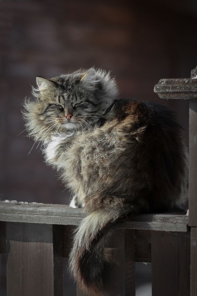 Photograph by Алексей Оборин