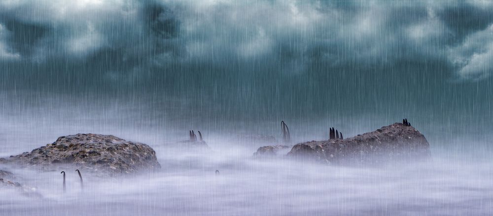 Photograph by Юрий Чернов