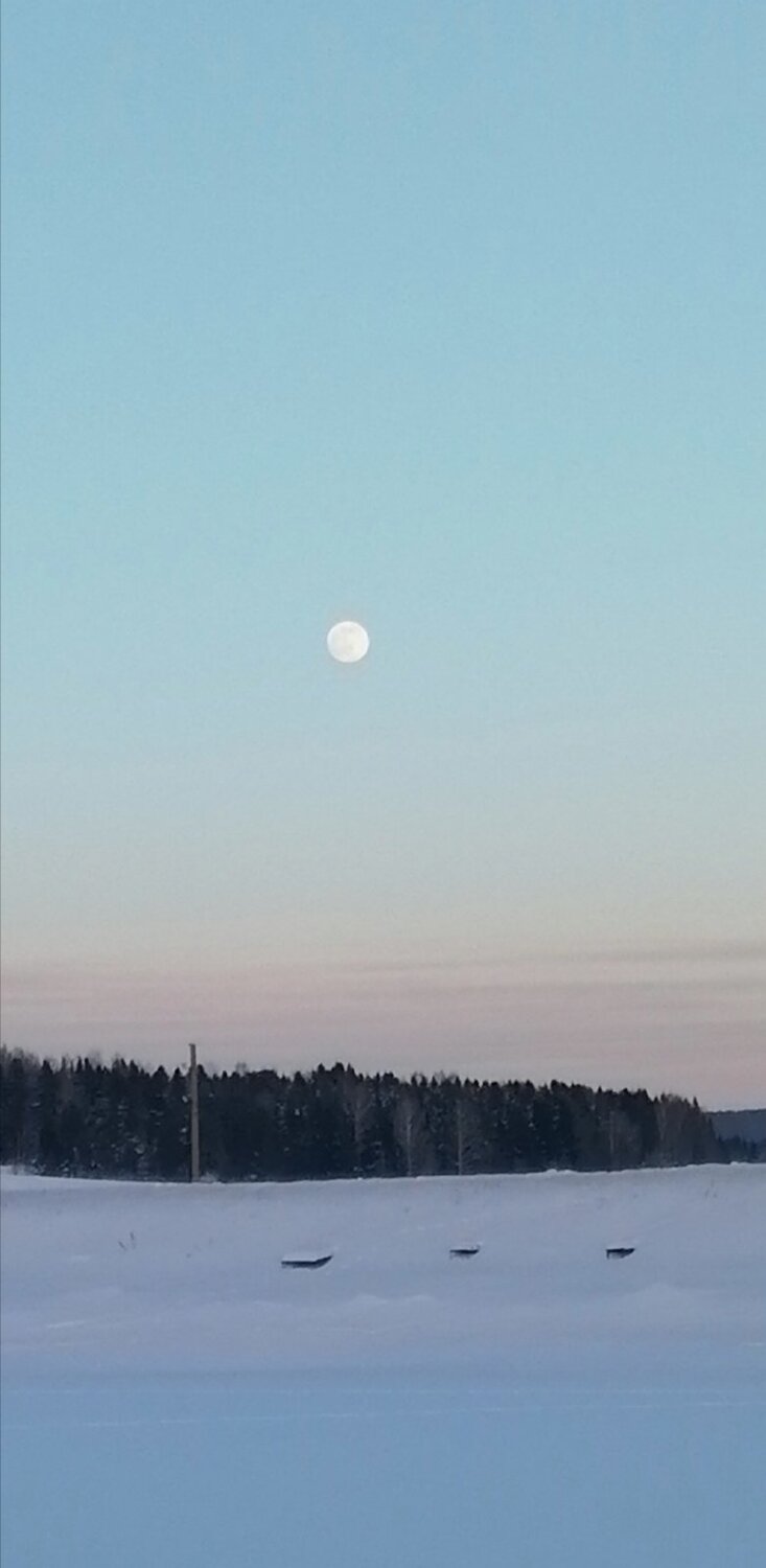 Photo #5939502