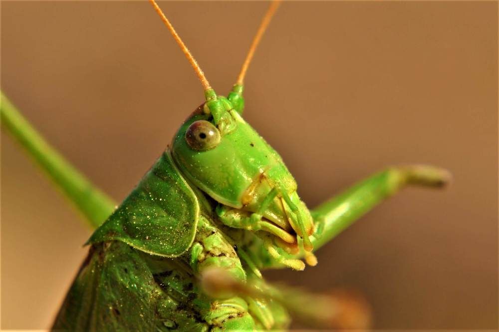 Фотография автора Justyna Jeżak