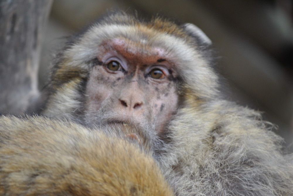 Фотография автора Justyna Jeżak