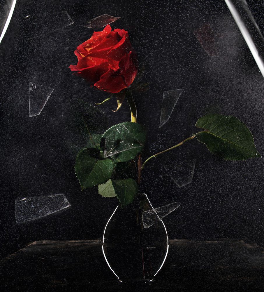 Photograph by Полина Беляева