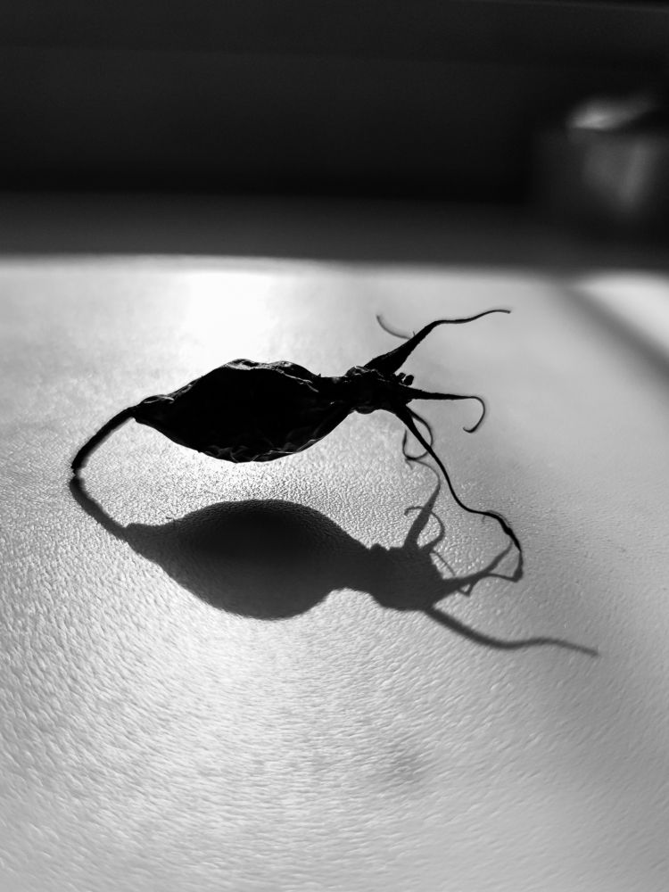 Photograph by Екатерина Зубарева