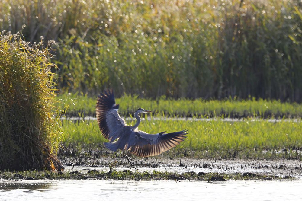 Photograph by Алексей Абашин