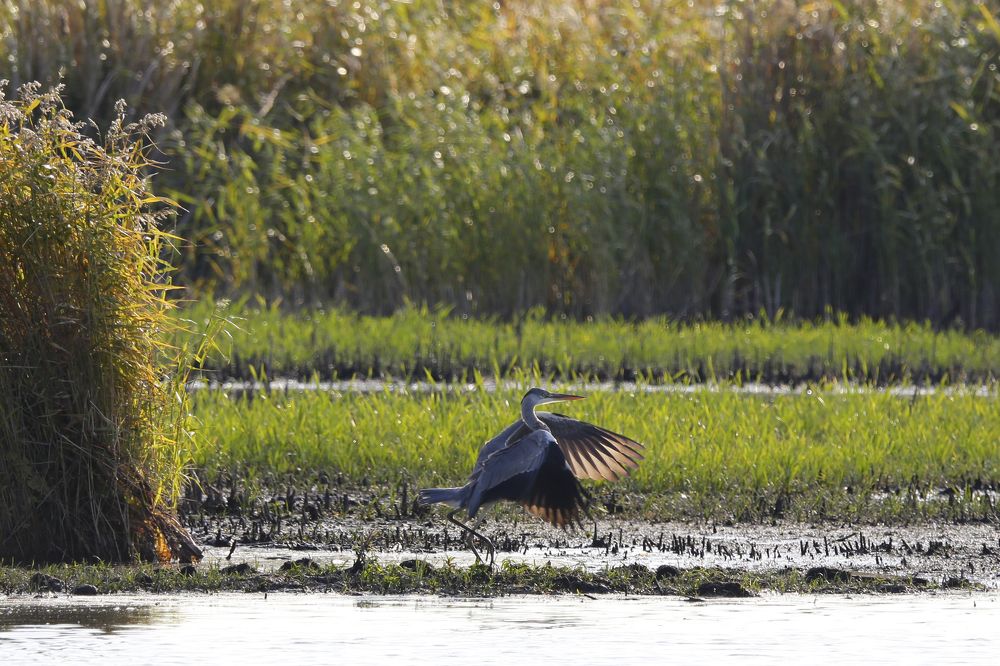 Photograph by Алексей Абашин