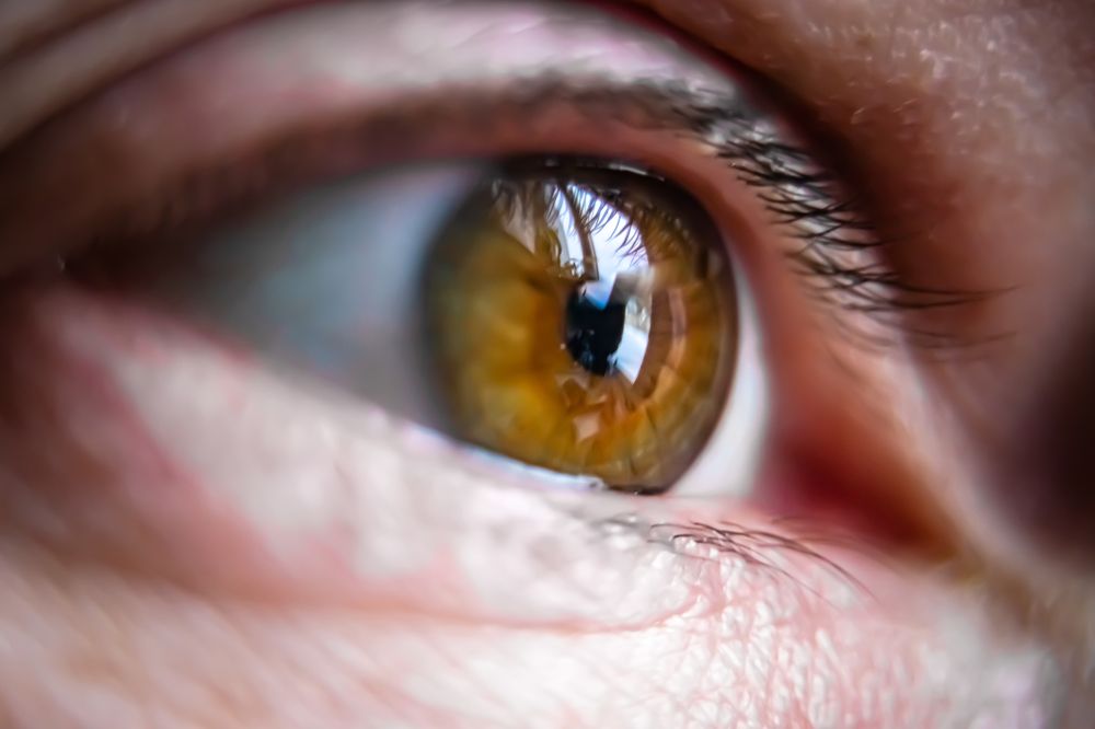 Photograph by Сергей Барабулькин