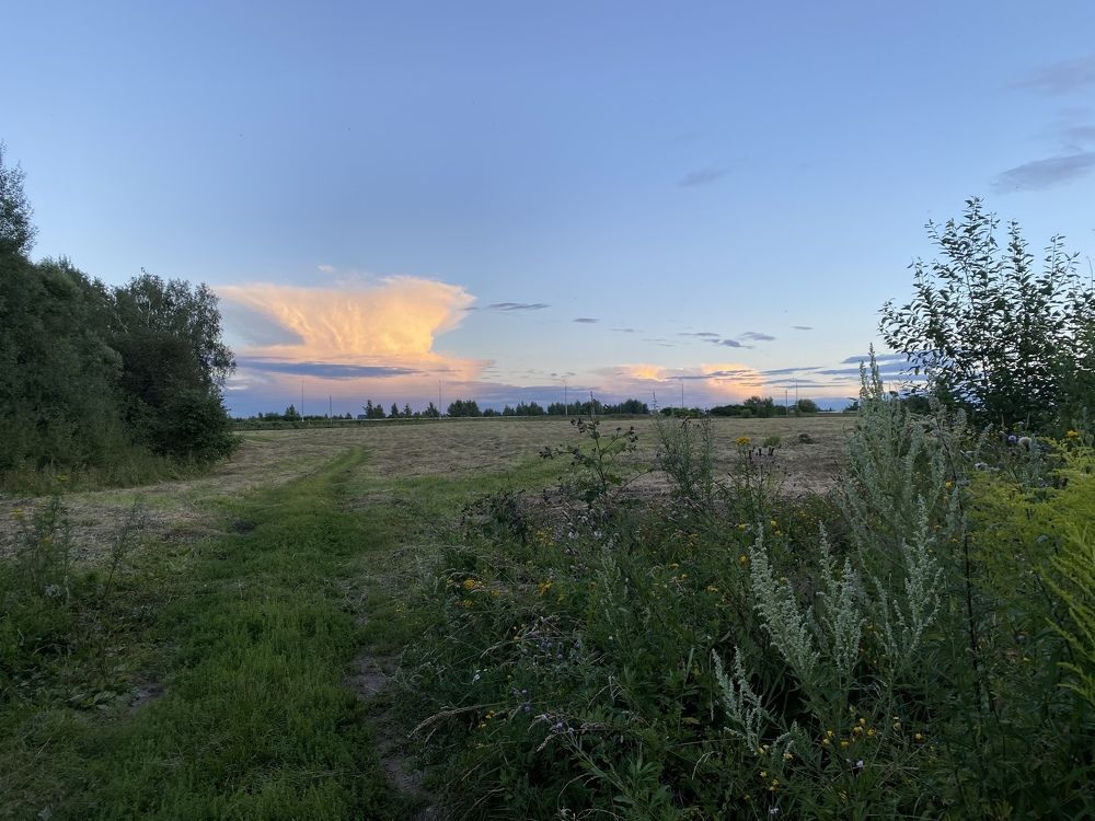 Photograph by Olga Marchenko