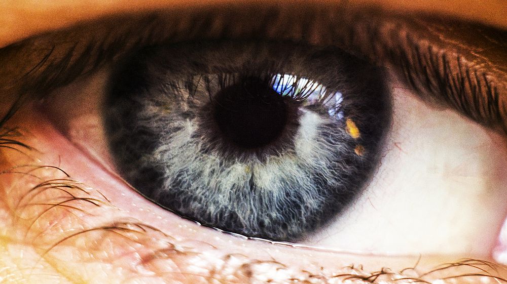 Photograph by Владимир Субботин