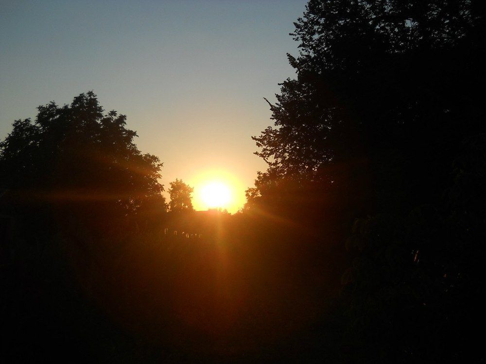 Photograph by Катерина Шарова