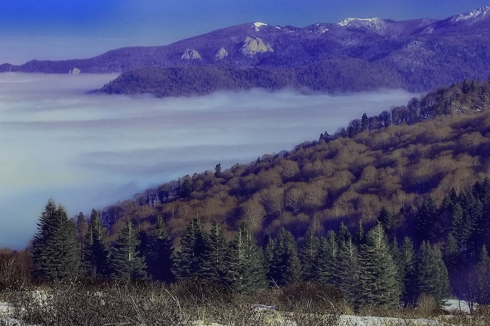 Photograph by Roman Popov