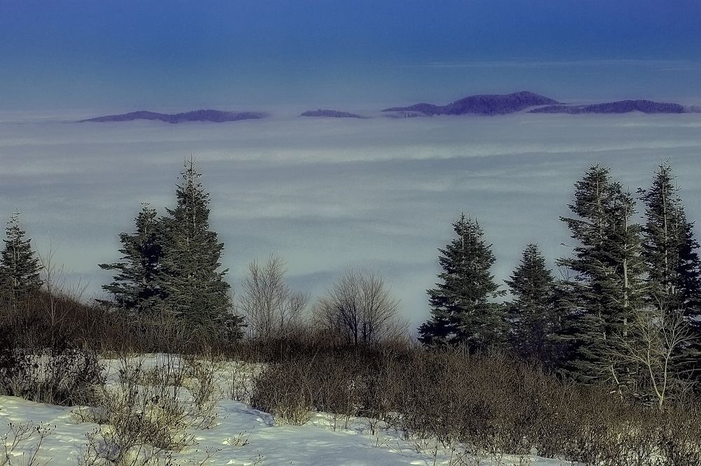 Photograph by Roman Popov