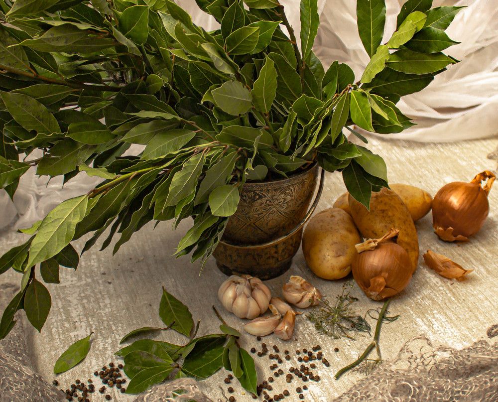 Овощи и букет из лавра