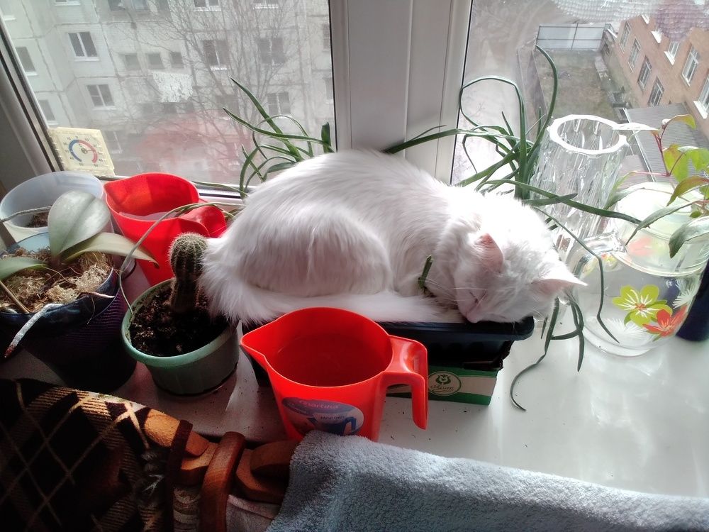 Photo #5940139