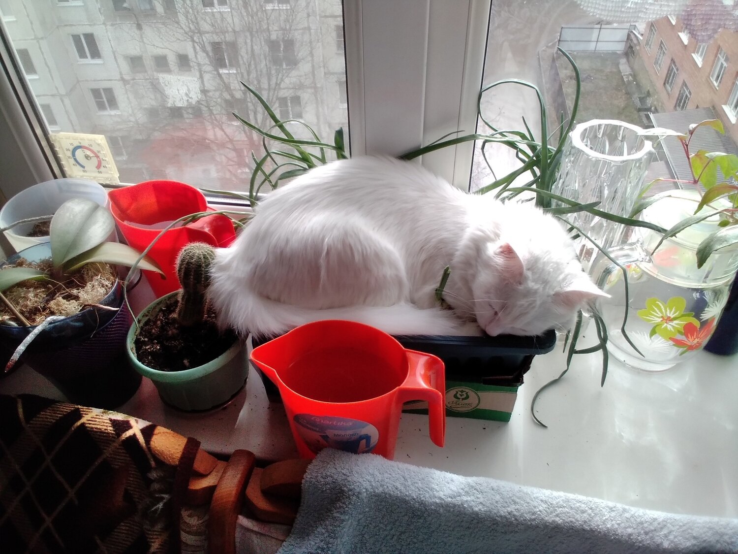 Photo #5940139