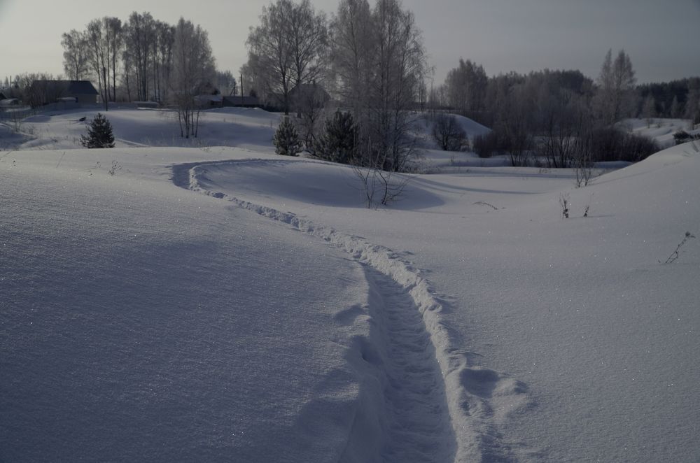 Деревня Петриково в сугробах. 2021.