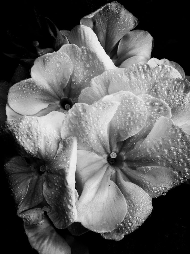 Photograph by Анна Матецкая