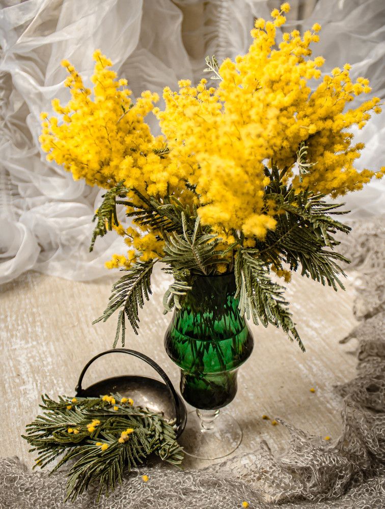 Photograph by Валентина Тагильцева