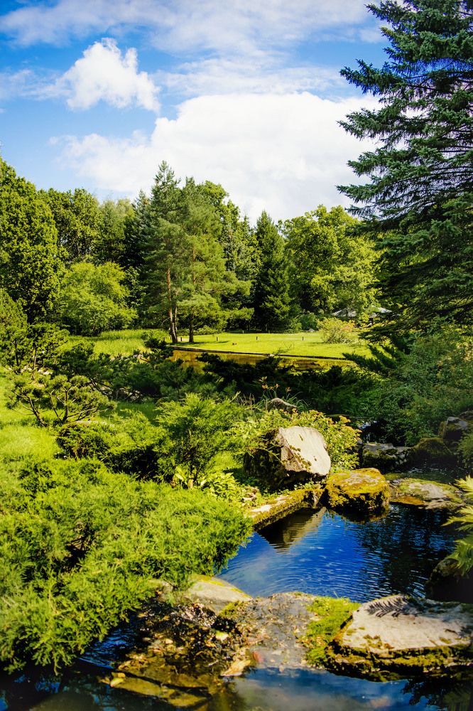 Photograph by Лариса Нечитайло