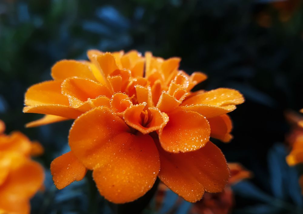 Photograph by Кристина Шляхова