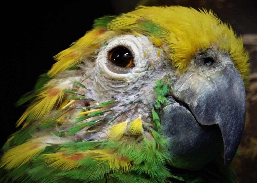 Фотография автора Tiia Vissak