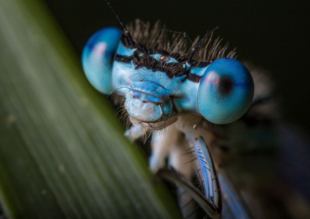 Photograph by Александр Рындин