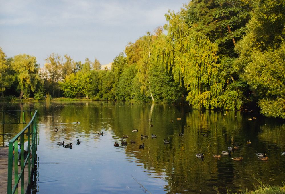 Photograph by Лариса Нечитайло