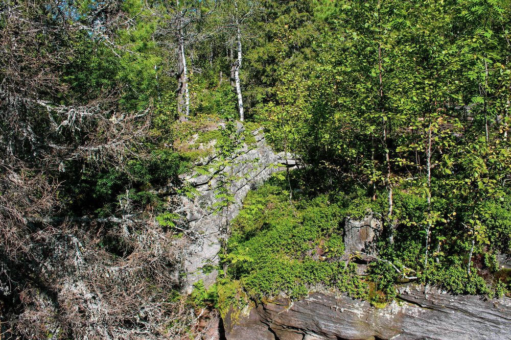 Photograph by Евгений