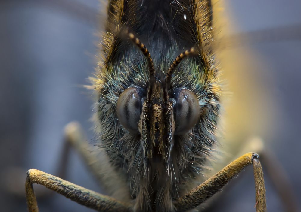 Photograph by Александр Рындин