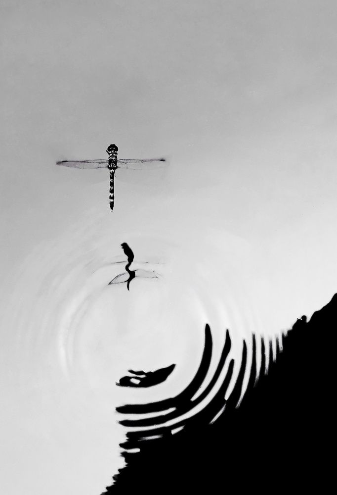 Photograph by VIJITH V RAVEENDRAN