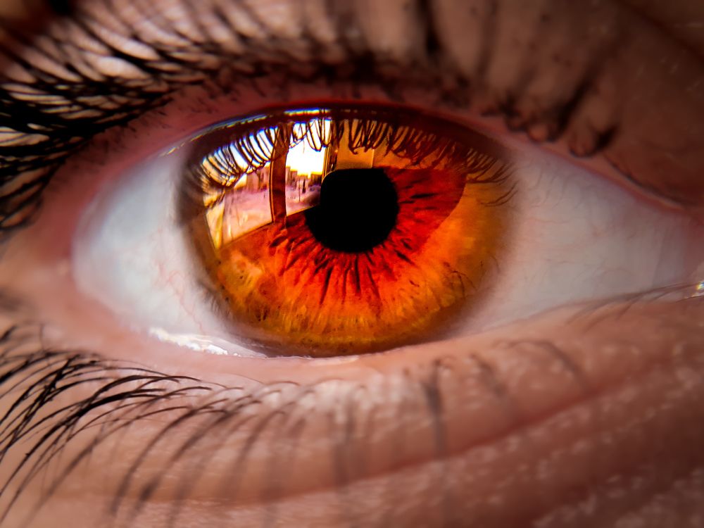 Влюблённый глаз