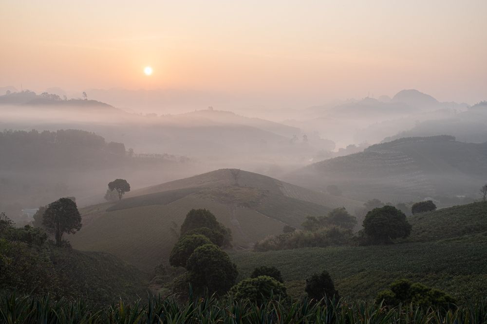Photograph by Vũ Quý Phương