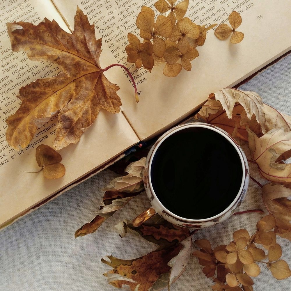 Photograph by Elena Lopatina