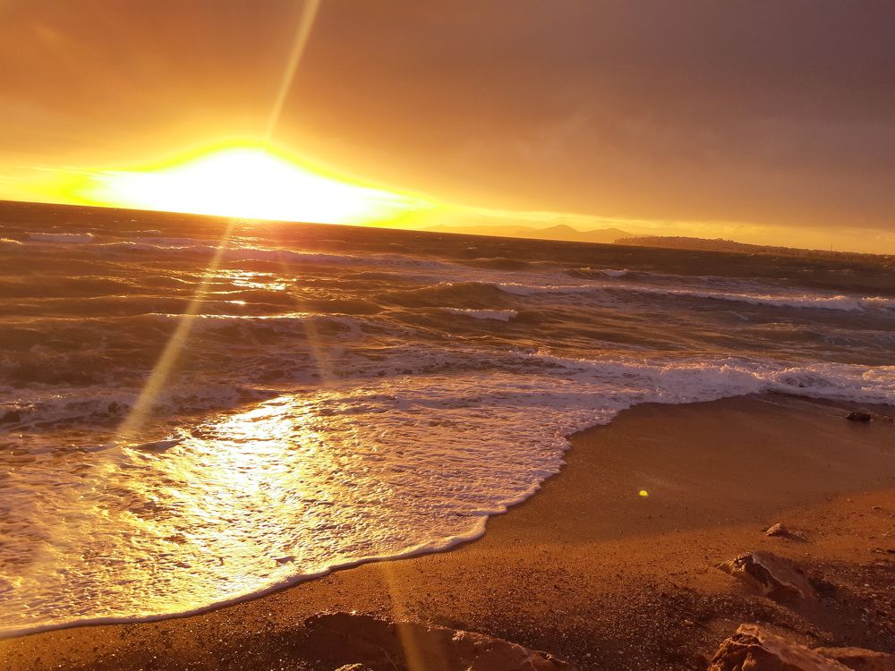 Sun sea & you