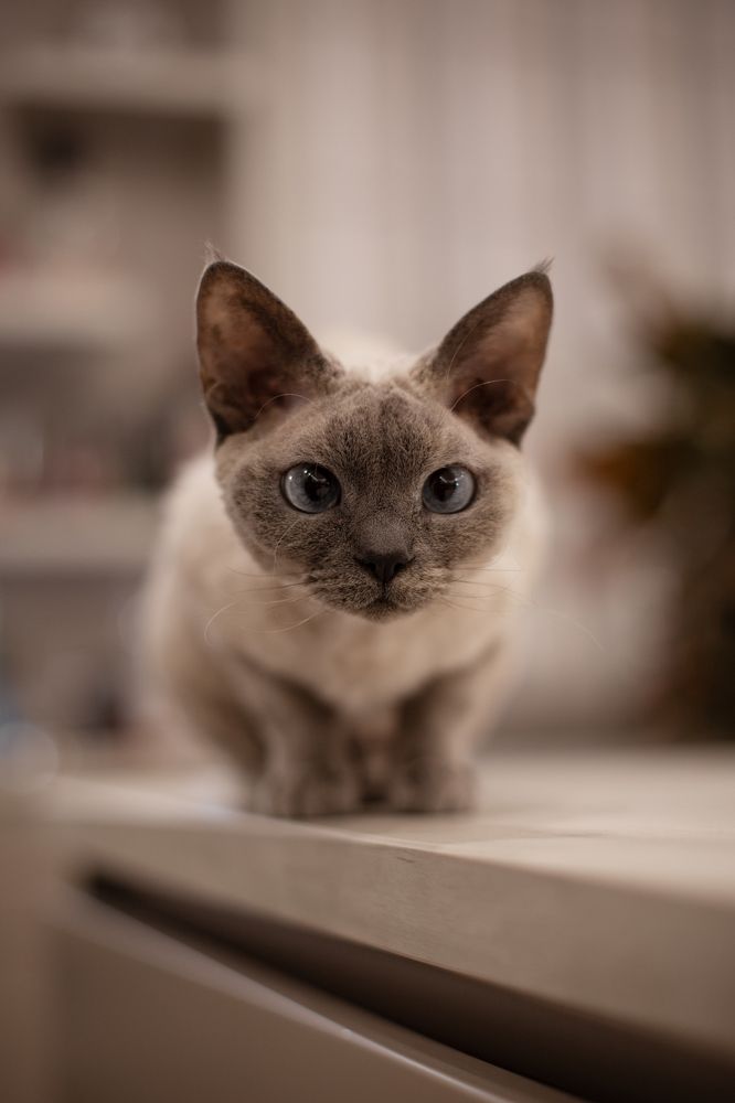 Photograph by Мария Середа