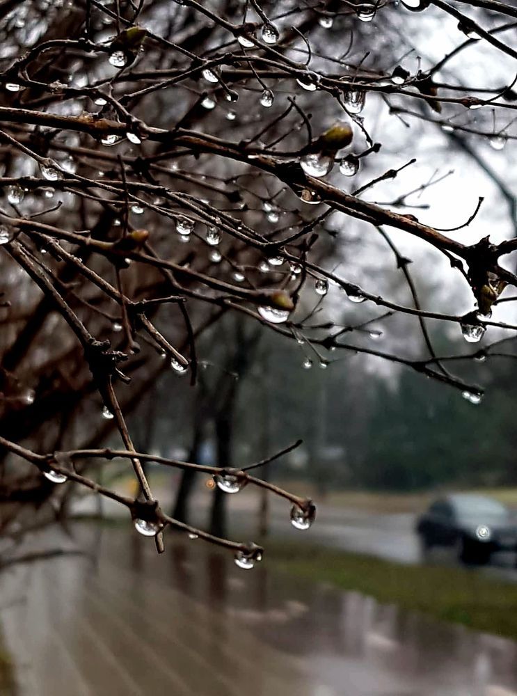 Photograph by Dmitrij Zykunov