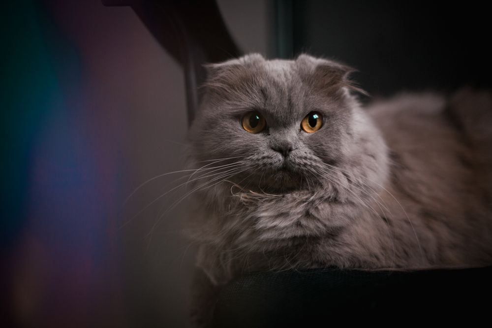 Photograph by Мария Середа