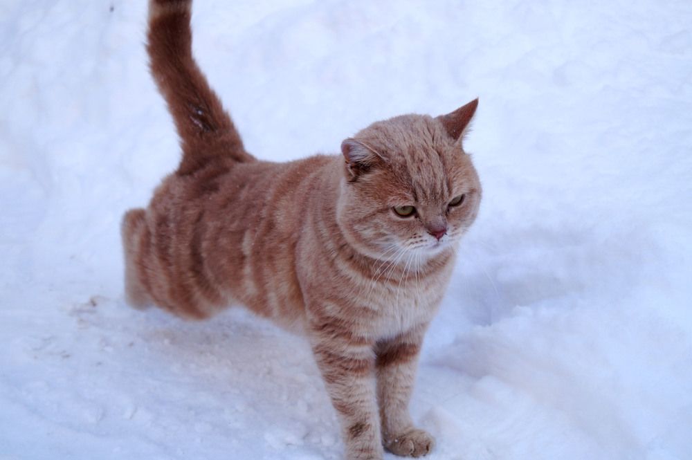 Photograph by Vlad Proshin