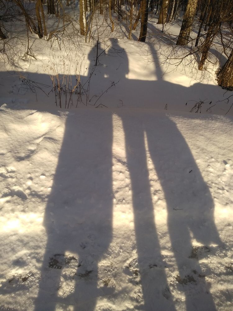 Фотография автора Елена Кобелева