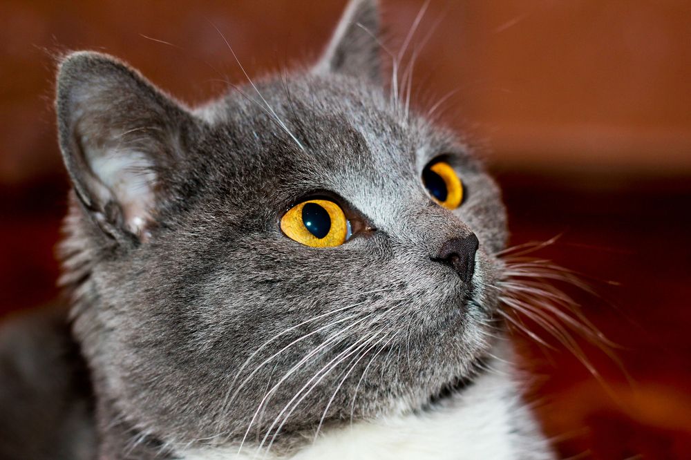 Photograph by Андрей Потапов