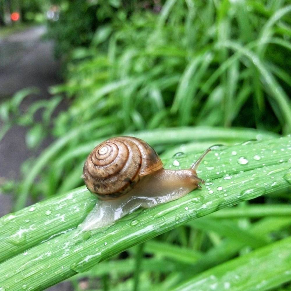 Photograph by Сергей Кувшинов