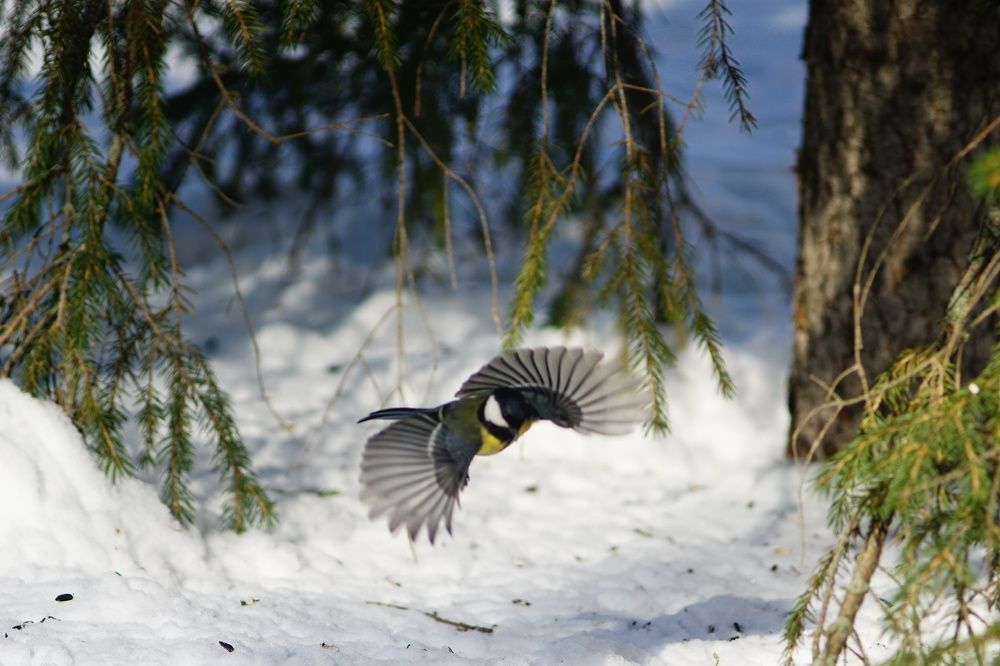 Photograph by Александр Кизим