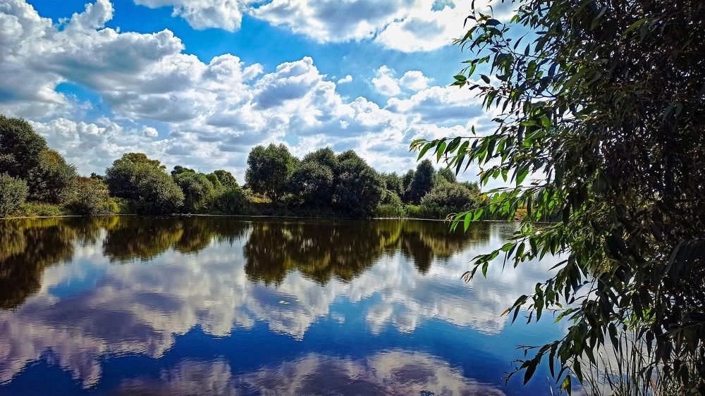 Photograph by Андрей Потапов