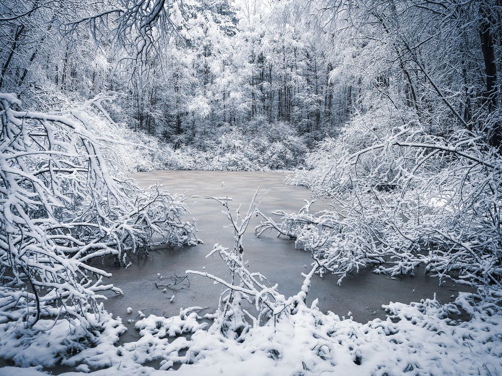 Photograph by Sylwia Ratajczyk