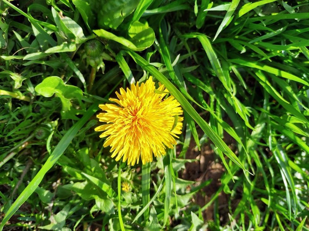 Photograph by Ольга Шкабура