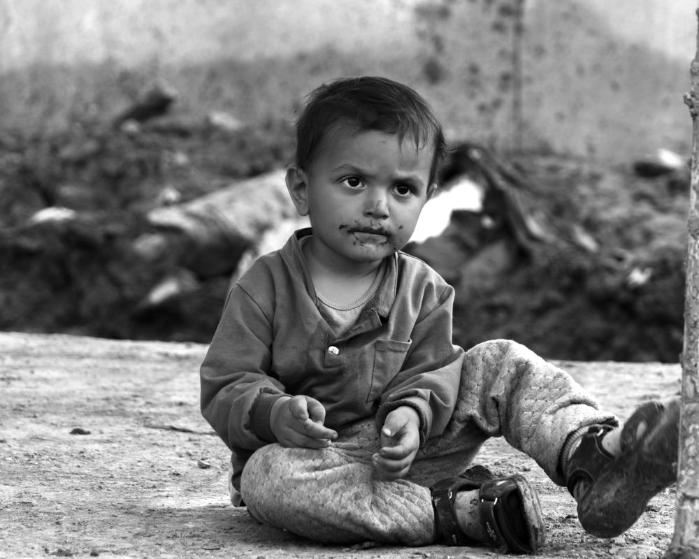 Фотография автора Milad Falahi