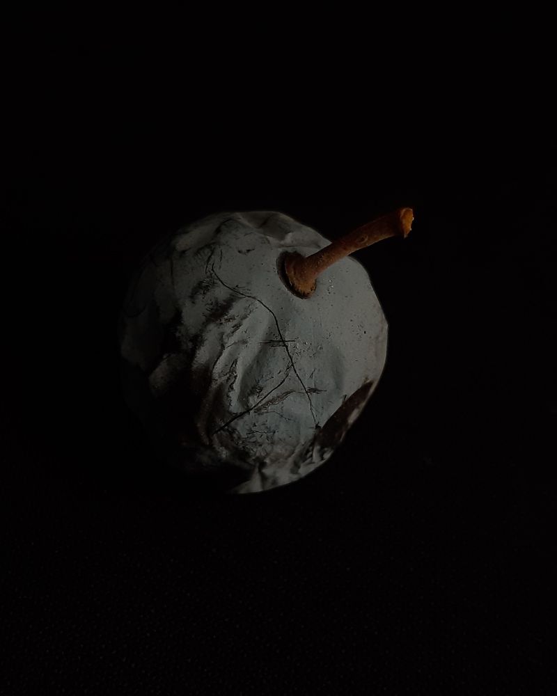 Photograph by Светлана Бальевич